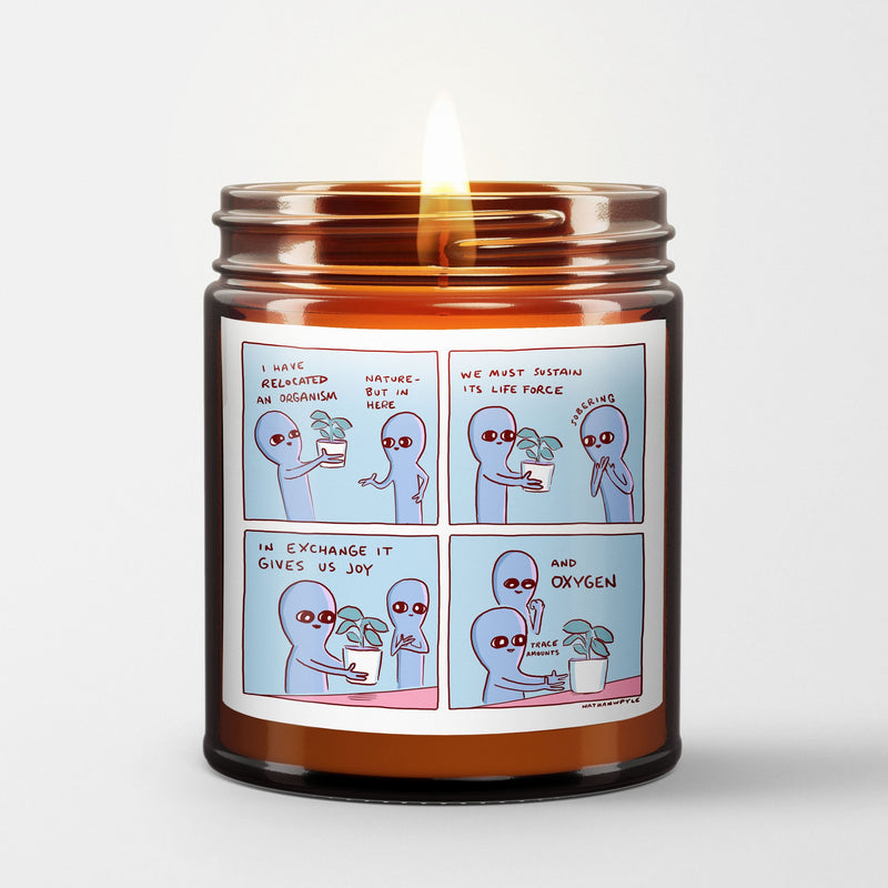 Strange Planet Scented Candle I I Have Relocated an Organism | Nathan W Pyle